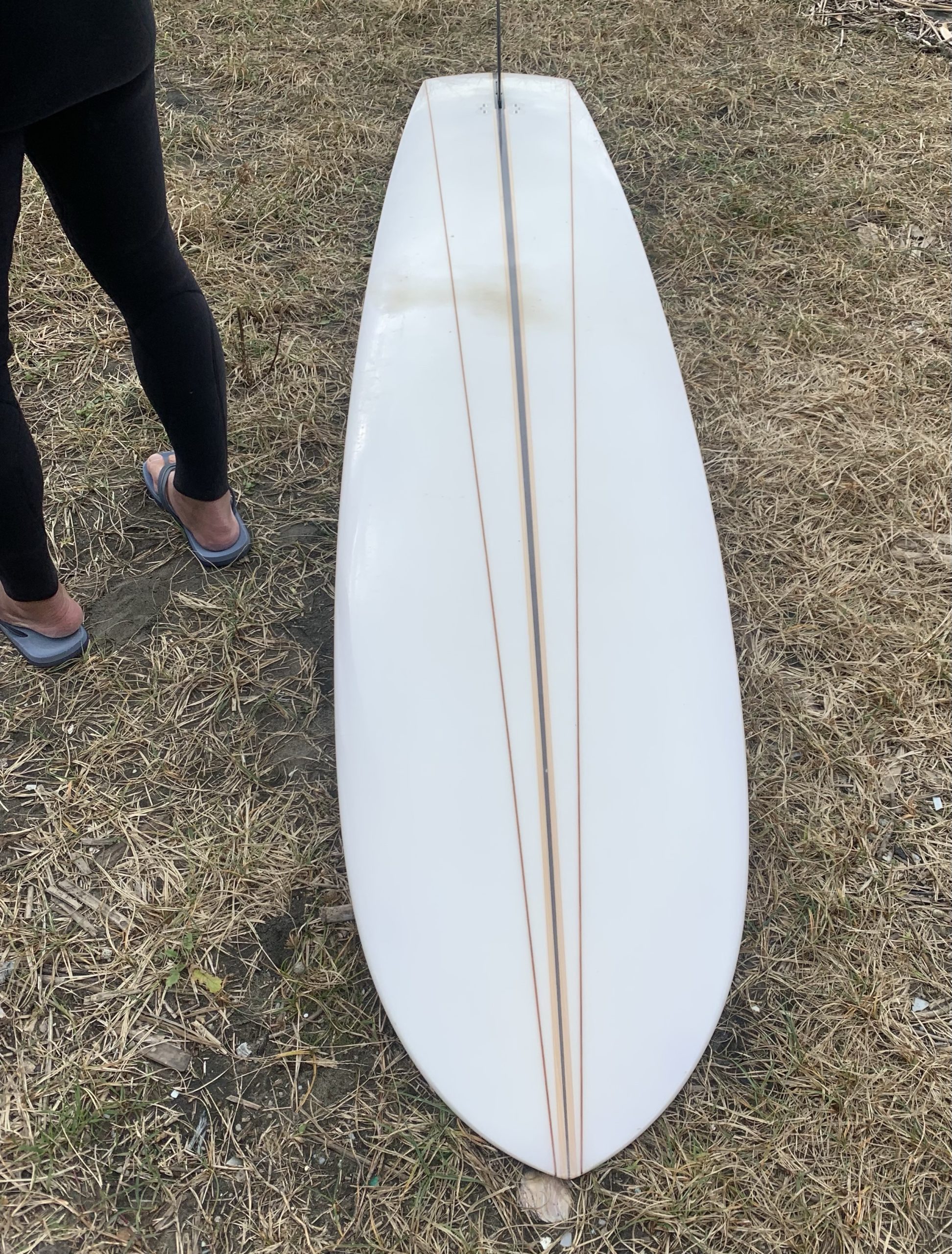 みんなでシングルフィン ロングボード | Kiaora Surf&Adventure